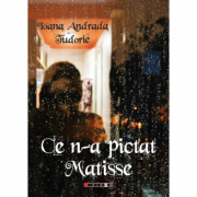 Ce n-a pictat Matisse - Ioana Andrada Tudorie