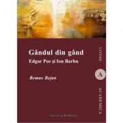 Gandul din gand. Edgar Poe si Ion Barbu - Remus Bejan