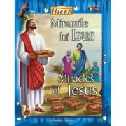 Minunile lui Iisus. Miracles of Jesus - Tanya Luther Agarwal