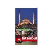 Ghid turistic ISTANBUL - Florin Andreescu, Dana Ciolca