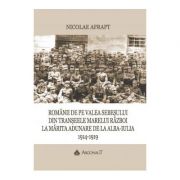 Romanii de pe Valea Sebesului din transeele Marelui Razboi la Marita Adunare de la Alba Iulia, 1914-1919 - Nicolae Afrapt