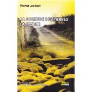 La solitude des pierres. La fissure - Flavius Lucacel