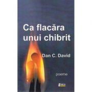 Ca flacara unui chibrit - Dan C. David