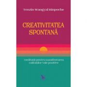 Creativitatea spontana - Tenzin Wangyal Rinpoche