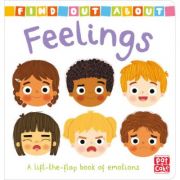 Find Out About: Feelings - Pat-a-Cake