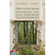 Departe si totusi aproape. Fragmente din viata familiilor transnationale - Viorela Ducu, Iulia-Elena Hossu