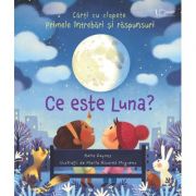 Ce este Luna? (Usborne) - Usborne Books