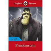 Frankenstein. Level 6