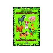 Animale domestice - Carte de colorat