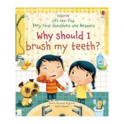 Lift-the-Flap Why Should I Brush My Teeth? (Very First Lift-the-Flap Questions and Answers) - KATIE DAYNES