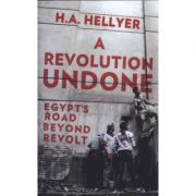 Revolution Undone - HA Hellyer