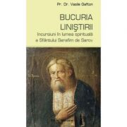 Bucuria linistirii - Vasile Gafton