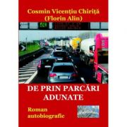 De prin parcari adunate - Cosmin Vicentiu Chirita (Florin Alin)