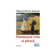 Dumnezeu vine si pleaca - Mircea Florin Sandru