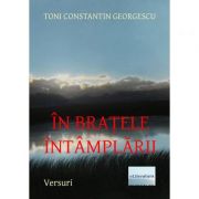 In bratele intamplarii - Toni Constantin Georgescu
