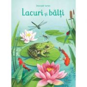 Lacuri si balti (Usborne) - Usborne Books