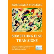 Something Else Than Signs - Passionaria Stoicescu