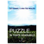 Puzzle... In toate sensurile vol. 2 - Teo Banal, Van Teo Moldo