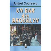Un bar din Brooklyn - Andrei Codrescu