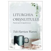 Liturghia obisnuitului. Practici sacre in viata de zi cu zi - Tish Harrison Warren