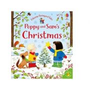 Poppy and Sam's Christmas (boardbook) - Sam Taplin