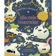 Casutele insectelor (Usborne) - Usborne Books