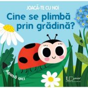 Joaca-te cu noi. Cine se plimba prin gradina? - Sonia Baretti