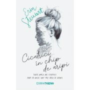 Cicatrici in chip de aripi - Erin Stewart