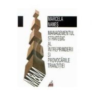 Managementul strategic al intreprinderii si provocarile tranzitiei - Marcela Nanes