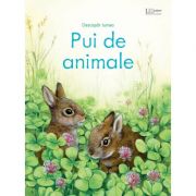 Pui de animale (Usborne) - Usborne Books