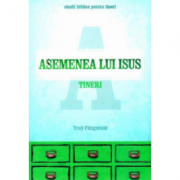 Asemenea lui Isus Tineri - Troy Fitzgerald