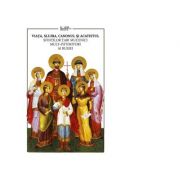Viata, slujba, canonul si acatistul Sfintilor Tari Mucenici mult-patimitiori ai Rusiei - Ioana Kamata