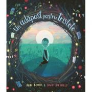 Un adapost pentru tristete - Anne Booth, David Lichfield