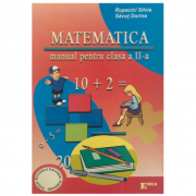 Matematica. Manual pentru clasa a II-a - Silvia Rupacici