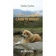 Cin'n sa tunda cainii in Bran - Stelian Turlea