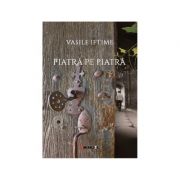 Piatra pe piatra - Vasile Iftime