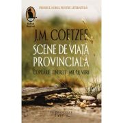 Scene de viata provinciala. Copilarie. Tinerete. Miezul verii - J. M. Coetzee