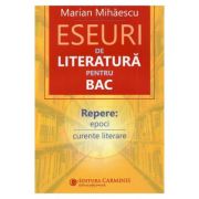 Eseuri de literatura pentru Bacalaureat - Marian Mihaescu