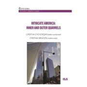 Intricate America: Inner and Outer Quarrels - Cristina Cheveresan, Cristina Baniceru