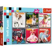 Puzzle cateii fericiti 200 piese