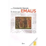 In drum spre Emaus - Constantin Necula