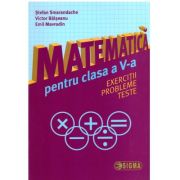 Matematica pentru clasa a 5-a. Exercitii, probleme, teste - Stefan Smarandache