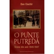 O punte putreda - Dan Ciachir