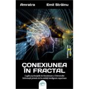Conexiunea in fractal. Legile si principiile de functionare a Universului - Emil Strainu