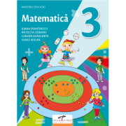 Matematica. Manual pentru clasa a 3-a - Iliana Dumitrescu