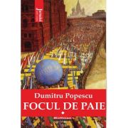 Focul de paie. Vol. 1 - Dumitru Popescu