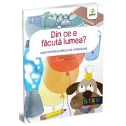 Din ce e facuta lumea? Descopera starile de agregare - David A. Adler