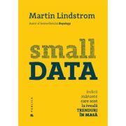 Small DATA. Indicii marunte care scot la iveala trenduri in masa - Martin Lindstrom