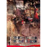 Starea de fapt - Gabriel Enache