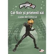 Cat Noir si prietenii sai. Carte de colorat